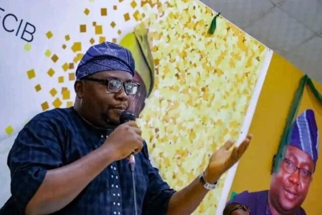 Nigerians can be assured of the President’s determination to ensure that citizens enjoy uninterrupted electricity supply – Minister of Power, Chief Adebayo Adelabu 1 Minister of Power, Chief Adebayo Adelabu